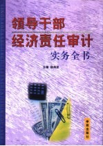 领导干部经济责任审计实务全书