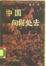 中国向何处去  海内外学者看中国改革