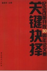 关键抉择  纪念改革开放30周年论文集