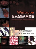 Wintrobe临床血液病学图谱