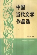 中国当代文学作品选