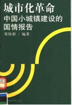 城市化革命  中国小城镇建设的国情报告