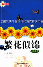 繁花似锦  全国优秀儿童文学奖获奖作家作品  小说卷  2