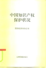 中国知识产权保护状况