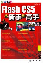 中文版Flash CS5从新手到高手