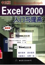 中文版Excel 2000入门与提高