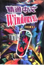 精通中文Windows95