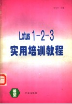 Lotus 1-2-3实用培训教程