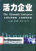 活力企业  从混乱到战略，从战略到实施