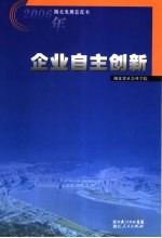 2006年湖北发展蓝皮书  企业自主创新