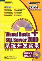 Visual Basic+SQL Server 2000系统开发实录