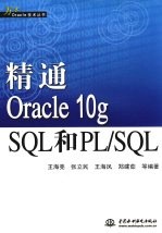 精通Oracle 10g SQL和PL/SQL