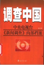 调查中国：中央电视台《新闻调查》内部档案  第6部