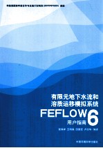 有限元地下水流和溶质运移模拟系统FEFLOW6用户指南