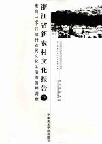 浙江省新农村文化报告  下  来自118个行政村农民文化生活的田野调查