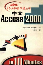 中文Access 2000