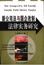 新公司法与国有企业改制实务研究