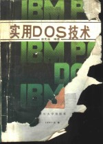 实用 DOS 技术