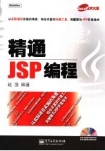 精通JSP编程