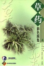 草药彩色图集  4