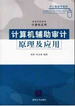 计算机辅助审计原理及应用