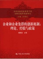 企业和企业集群的创新机制  理论、经验与政策