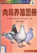 肉鸽养殖图册