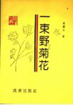 一束野菊花