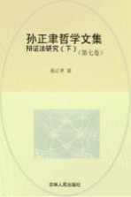 孙正聿哲学文集  辩证法研究  第7卷  下