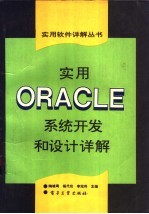 实用ORACLE系统开发和设计详解