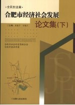 合肥市经济社会发展论文集  下