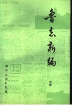 鲁志新编：《大众日报》专刊集  下