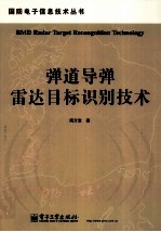 弹道导弹雷达目标识别技术