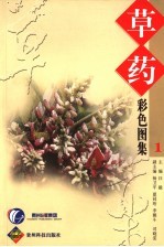 草药彩色图集  1