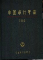 中国审计年鉴  1999