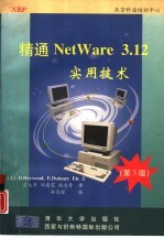 精通NetWare 3.12实用技术 第5版