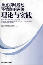 重点领域规划环境影响评价理论与实践