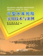 小型水库抢险实用技术与案例