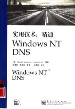 实用技术：精通Windows NT DNS