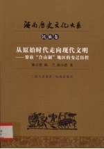 海南历史文化大系  民族卷  从原始时代走向现代文明