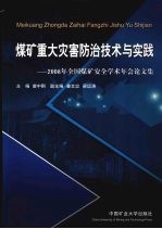 煤矿重大灾害防治技术与实践  2008年全国煤矿安全学术年会论文集