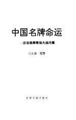 中国名牌命运  企业品牌策划大战内幕  当代中国企业忧思录