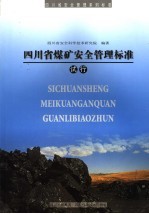 四川省煤矿安全管理标准  试行