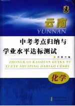 云南中考考点归纳与学业水平达标测试  化学