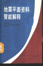 地震平面资料智能解释