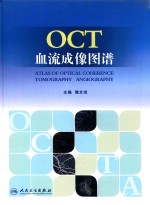 OCT血流成像图谱