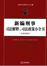 新编刑事司法解释  司法政策小全书