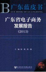 广东省电子商务发展报告  2013  2013版