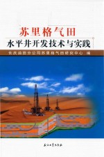 苏里格气田水平井开发技术与实践