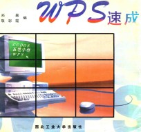 WPS速成